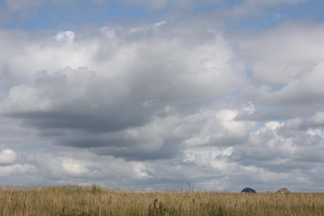 IMG_0897