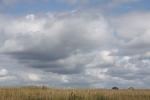 IMG_0897