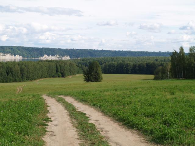 Фотографии поляны
